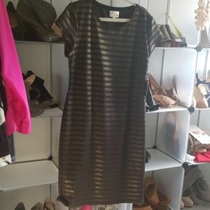 Womens Bodycon  Midi